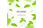 Vibrant Green Tea Leaves Concept