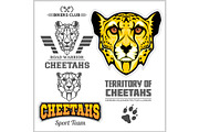 Cheetahs Set - Vector elements for