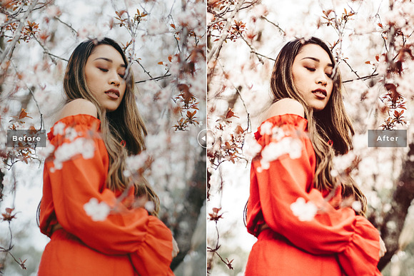 Aesthetic Lightroom Presets in Add-Ons - product preview 3