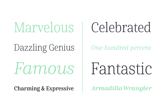 Cabrito Serif in Serif Fonts - product preview 2