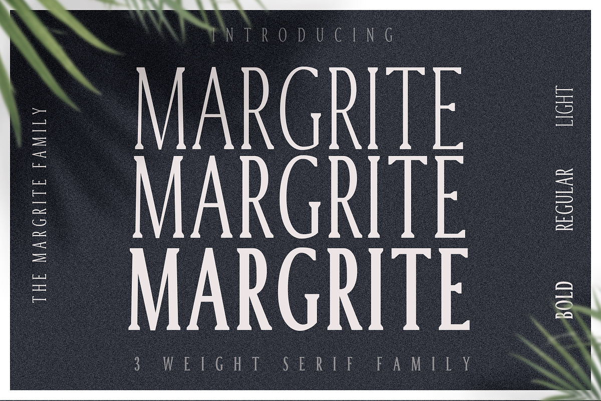 Margrite - Tall Serif Font Family in Serif Fonts - product preview 8