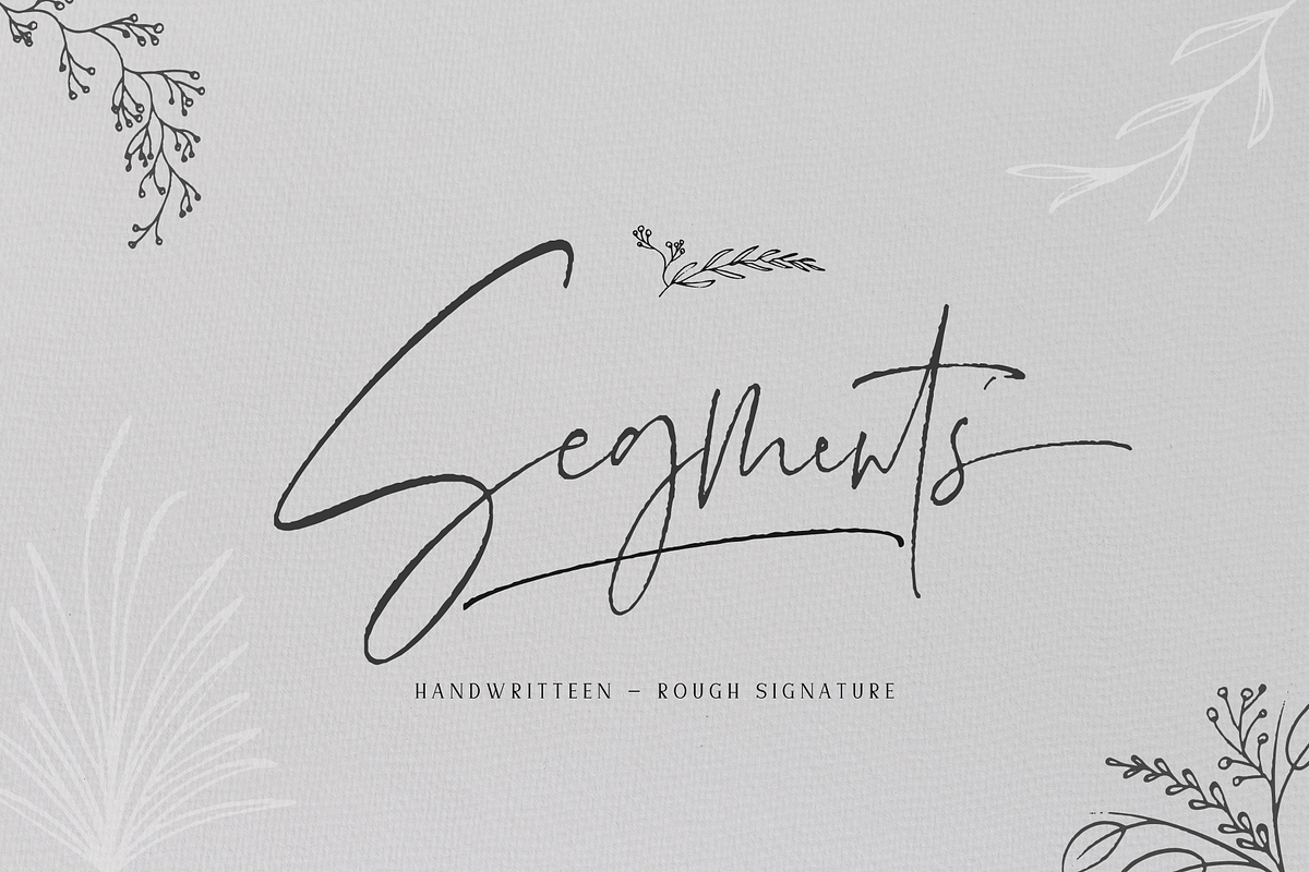Segments in Script Fonts - product preview 8