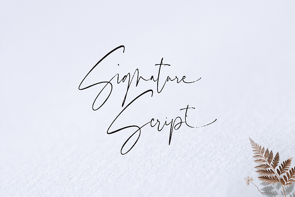 Segments in Script Fonts - product preview 1