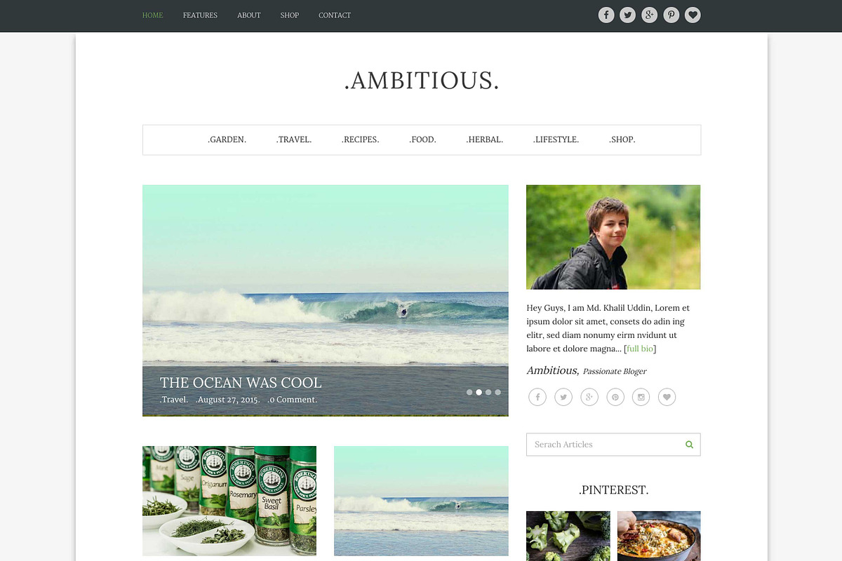 Ambitious-Multi WordPress Blog Theme in WordPress Blog Themes - product preview 8