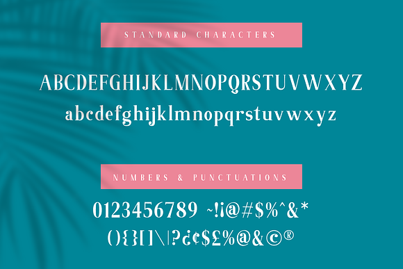 Abigale Font Duo Set in Serif Fonts - product preview 8