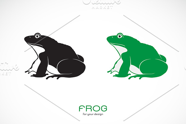 Vector of green frog and black frog.