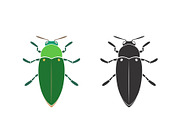 Vector of jewel beetle. Insect.