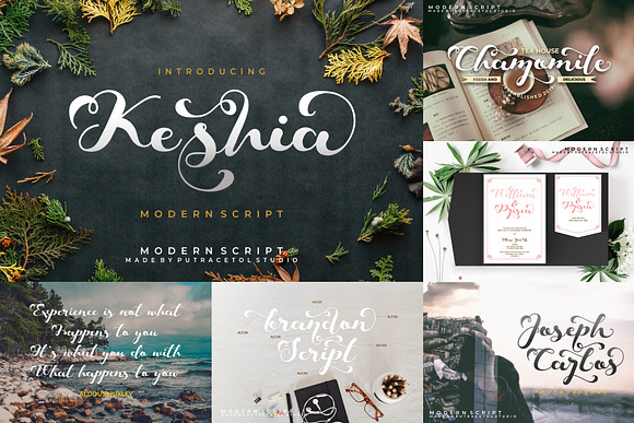 Growing Font Bundle! ( UPDATED #5 ) in Display Fonts - product preview 11