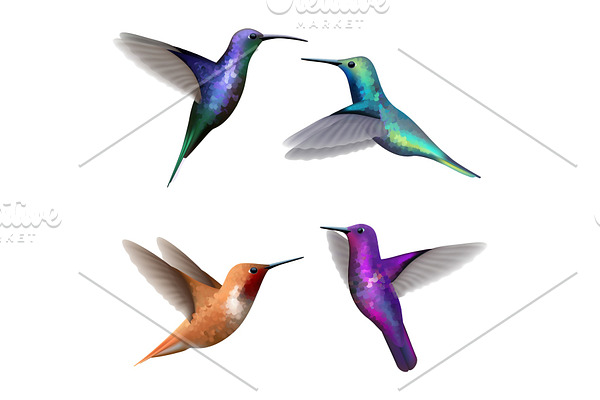 Hummingbirds. Exotic little colored