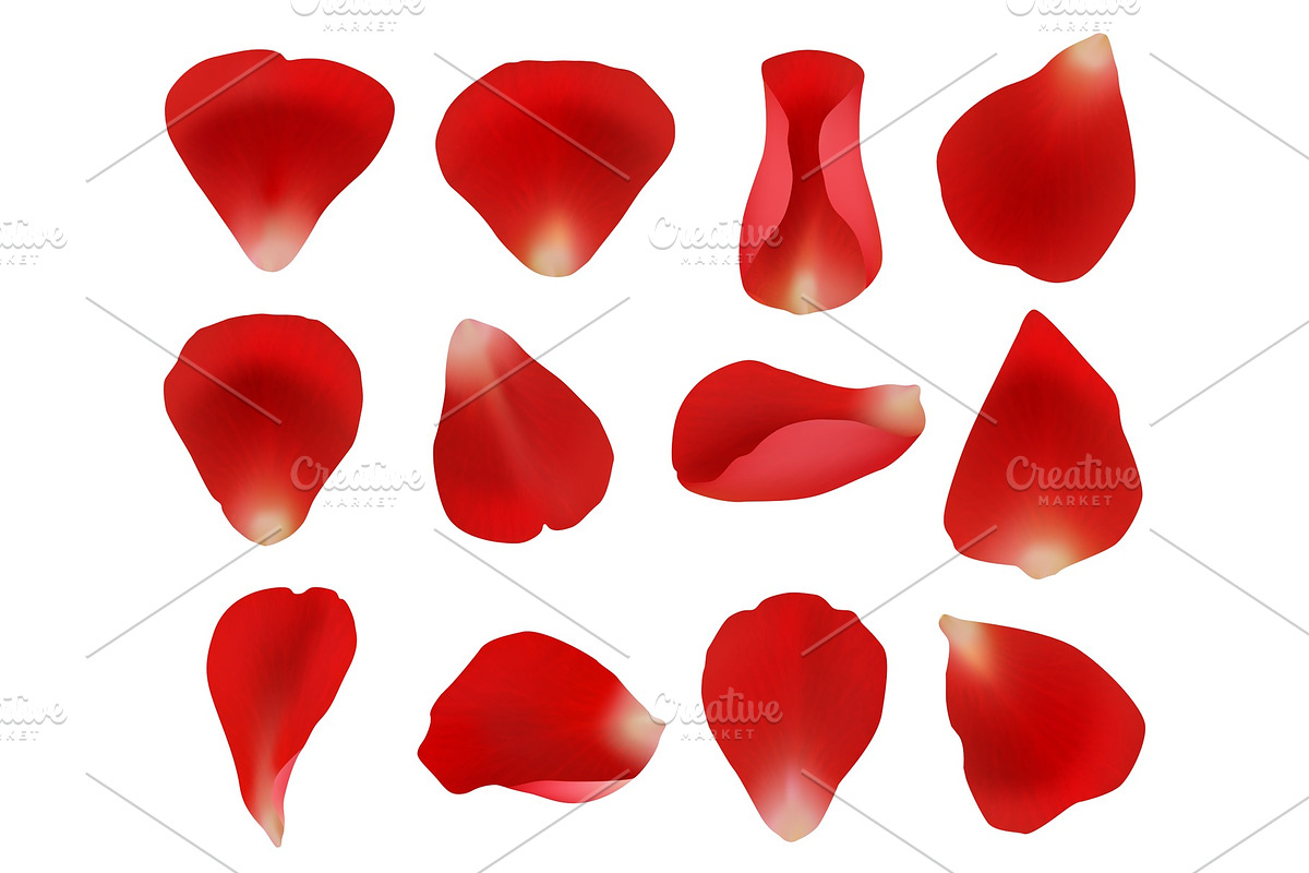Rose petals. Flowers plants elements in Graphics - product preview 8