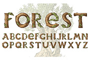 Antique wood Font for forest