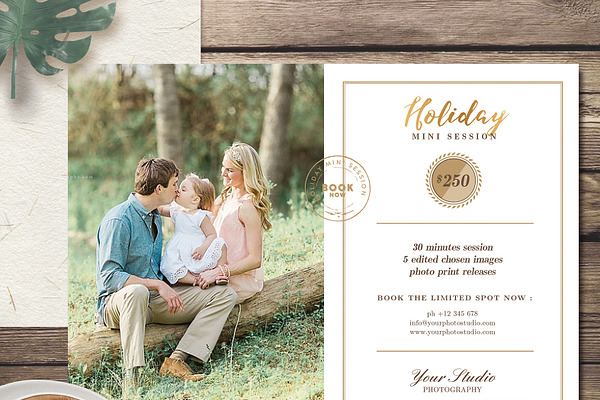 Holiday Mini Session Template MS011