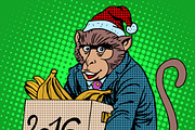 Monkey Santa Claus 2016 new year