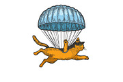 Cat fly parachute sketch engraving