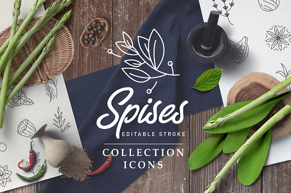 Spices and herbs. Logo and Icons in Icons - product preview 7