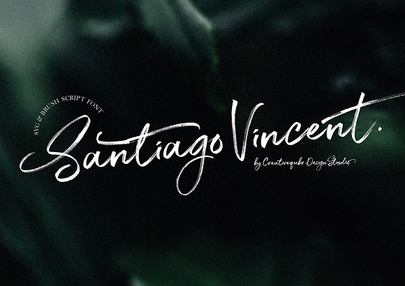 NEW Font Bundle by Creativeqube in Script Fonts - product preview 52