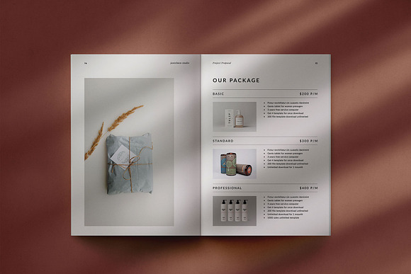 studio proposal in Brochure Templates - product preview 10