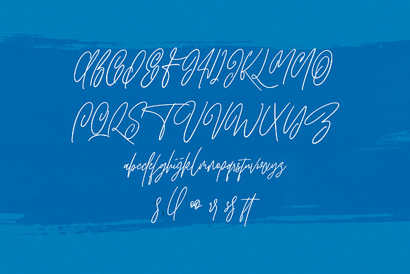 Hawkins Signature Brush Font in Script Fonts - product preview 4