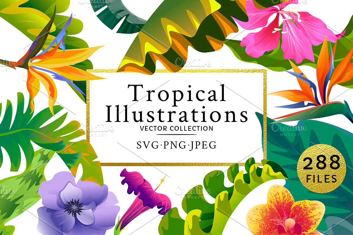 Flowers Tropical Illustration Pack in Illustrations - product preview 8