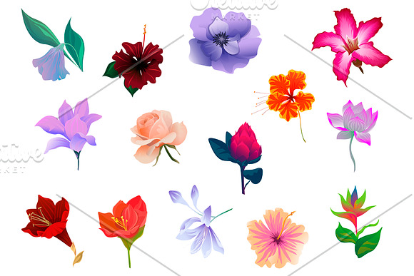 Flowers Tropical Illustration Pack in Illustrations - product preview 1