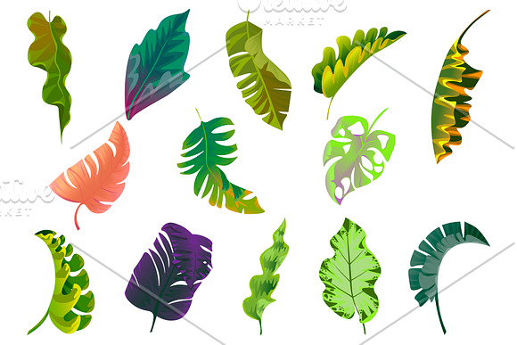 Flowers Tropical Illustration Pack in Illustrations - product preview 2