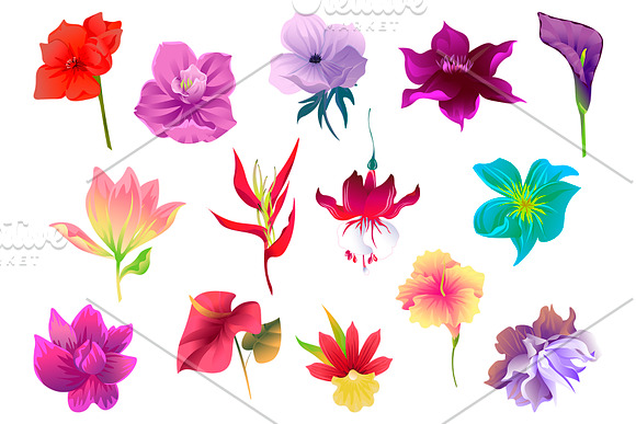 Flowers Tropical Illustration Pack in Illustrations - product preview 5