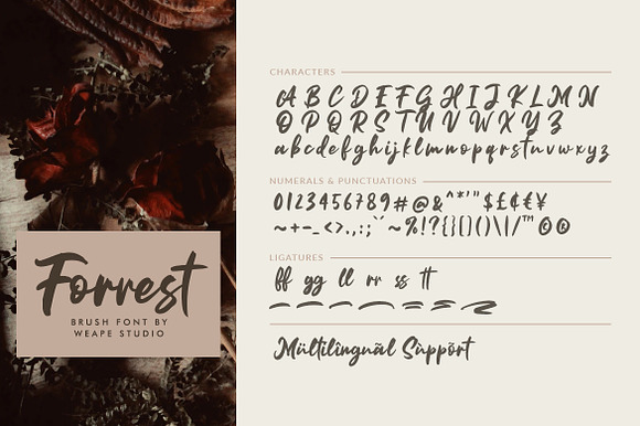 Forrest - Brush Font in Script Fonts - product preview 9