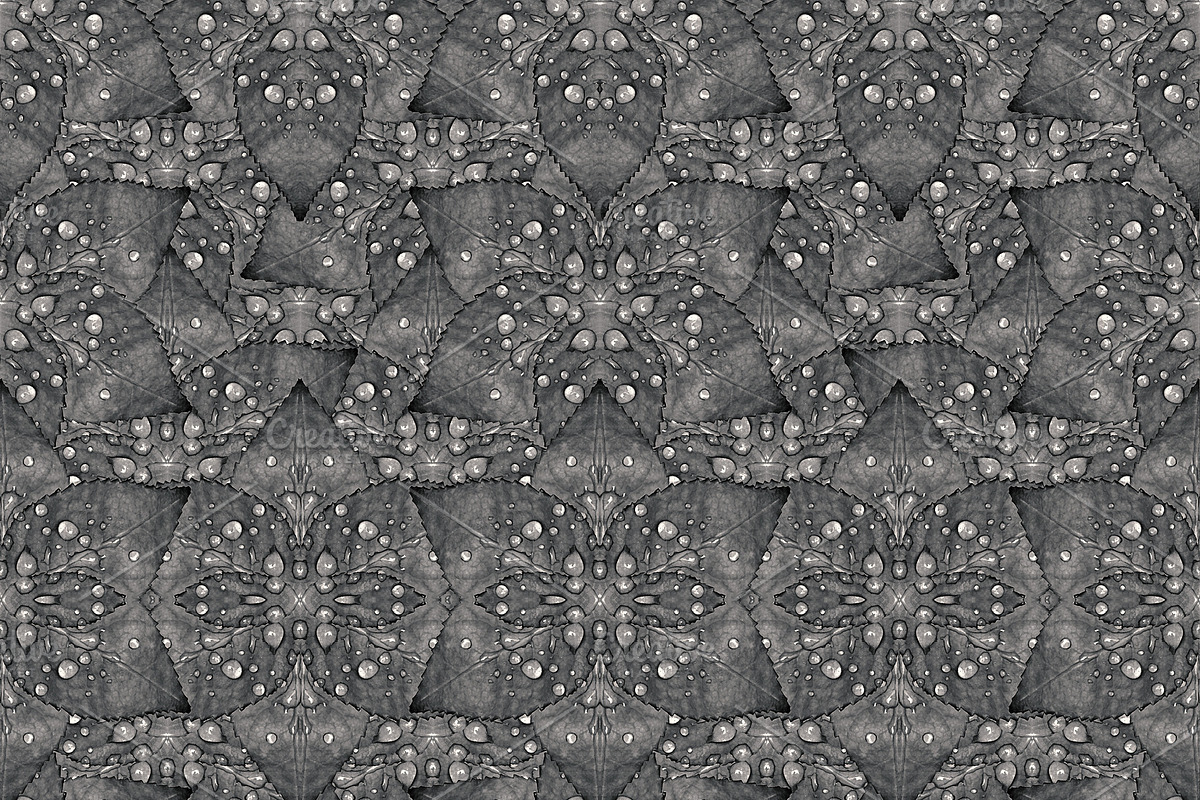 Modern Fancy Nature Collage Seamless in Patterns - product preview 8