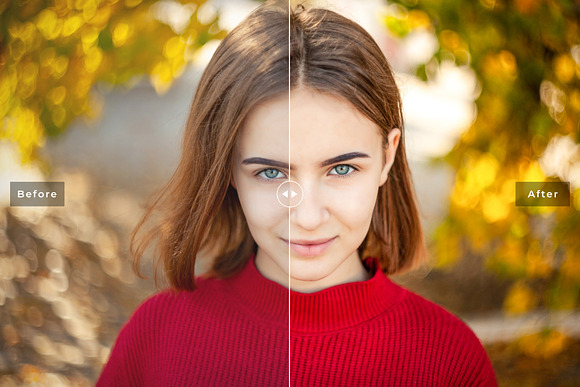 Maple Lightroom Presets Pack in Add-Ons - product preview 2