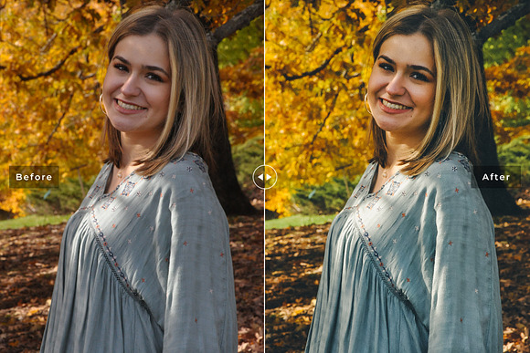 Maple Lightroom Presets Pack in Add-Ons - product preview 3