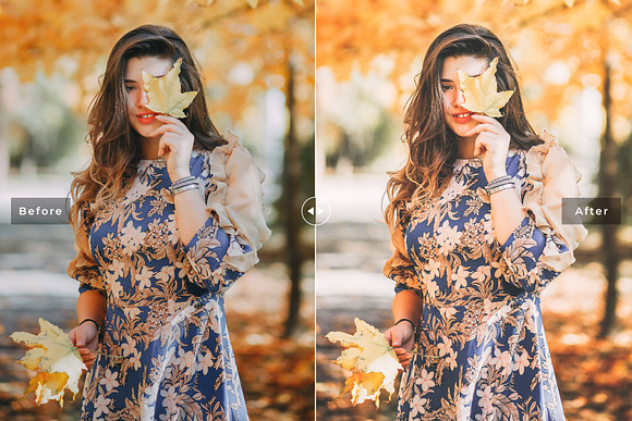 Maple Lightroom Presets Pack in Add-Ons - product preview 4