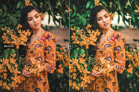 Maple Lightroom Presets Pack in Add-Ons - product preview 5