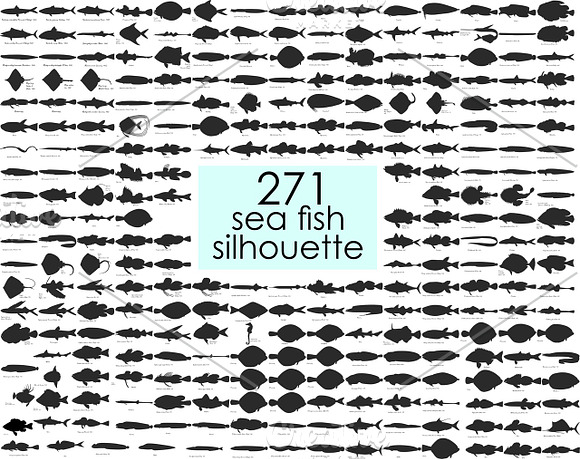 271 Sea fish silhouette with names in Icons - product preview 5