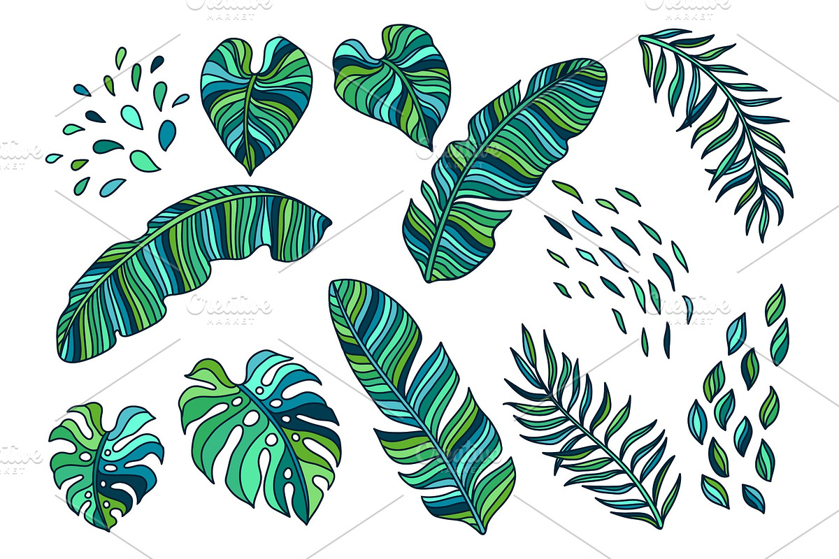 Set of palm leaves. in Illustrations - product preview 8