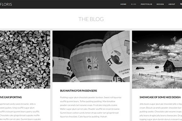 Floris - Black & White Photography in WordPress Photography Themes - product preview 2