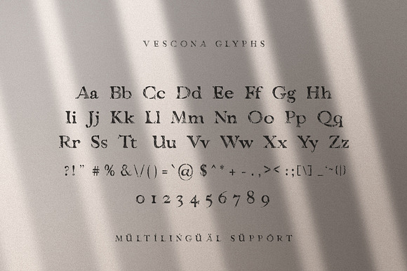 Vescona - Grunge Serif Font in Slab Serif Fonts - product preview 5
