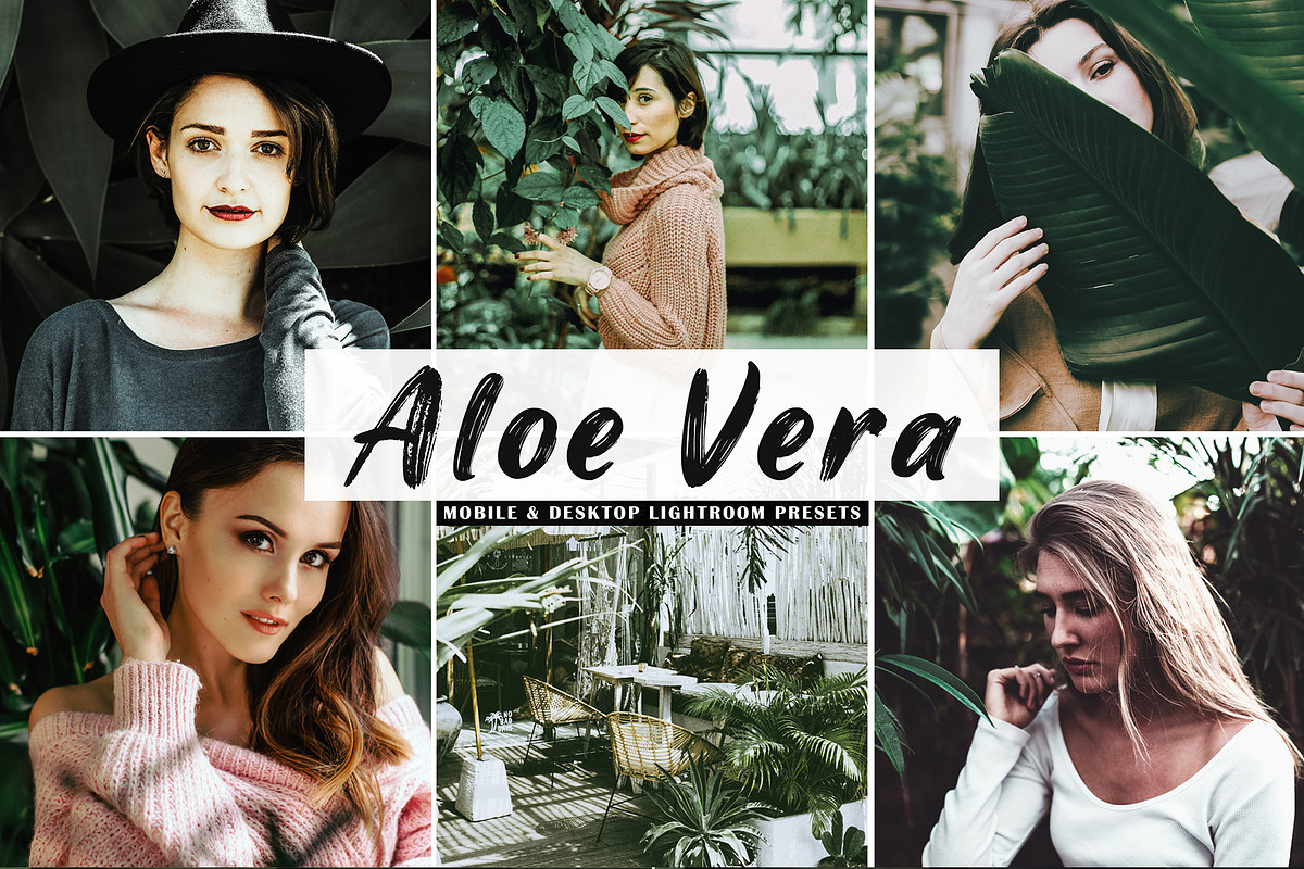 Aloe Vera Lightroom Presets in Add-Ons - product preview 8