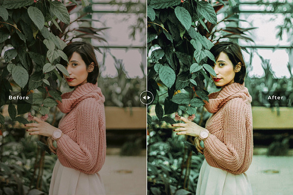Aloe Vera Lightroom Presets in Add-Ons - product preview 1