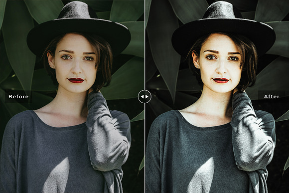 Aloe Vera Lightroom Presets in Add-Ons - product preview 2