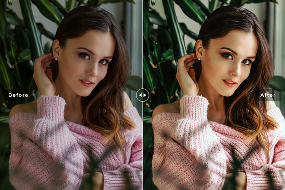 Aloe Vera Lightroom Presets in Add-Ons - product preview 3