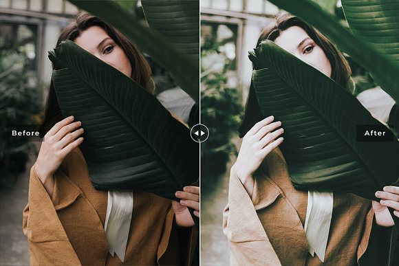 Aloe Vera Lightroom Presets in Add-Ons - product preview 4