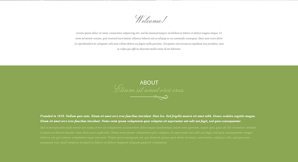 The Villa - Real Estate Landing Page in Landing Page Templates - product preview 1