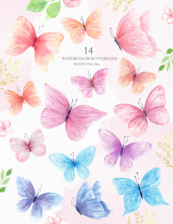 Watercolor Floral and Butterfly Set in Illustrations - product preview 6