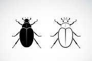 Vector of cockchafer. Insect.