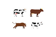 Cow icon set, flat style