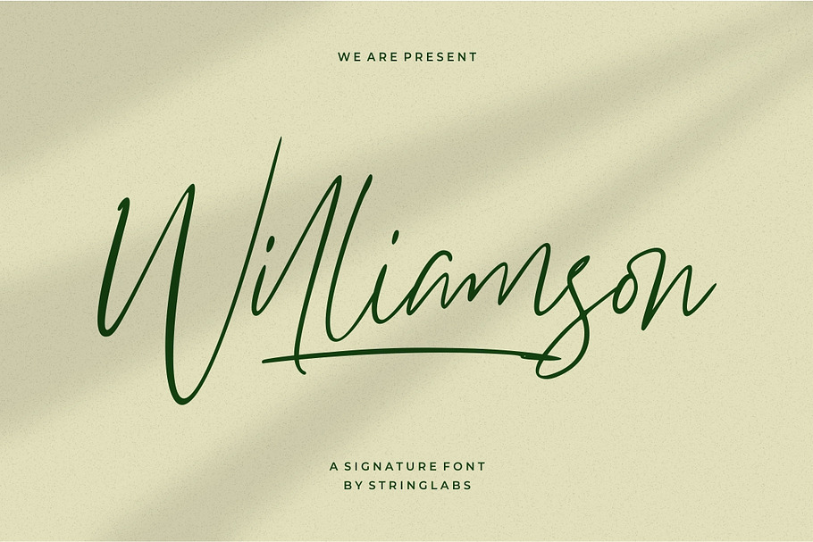 Williamson - Luxury Signature Font in Script Fonts - product preview 8