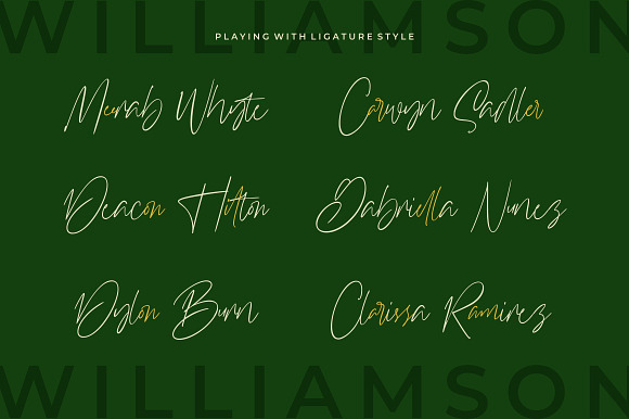 Williamson - Luxury Signature Font in Script Fonts - product preview 5