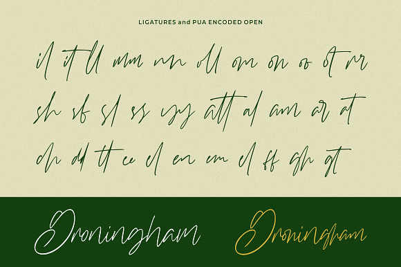 Williamson - Luxury Signature Font in Script Fonts - product preview 9