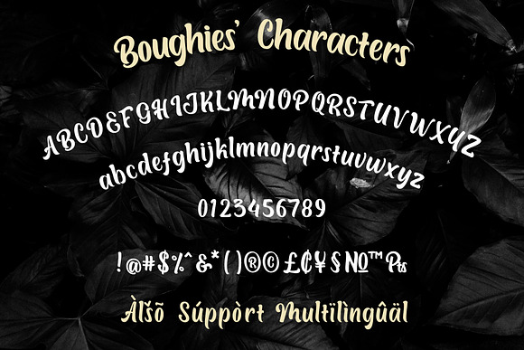 Boughies Typeface in Display Fonts - product preview 1