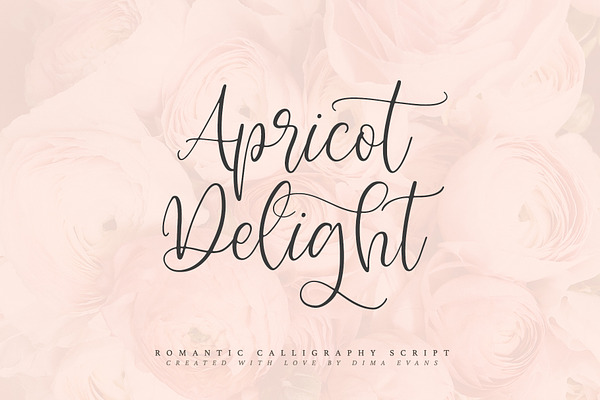 Apricot Delight | Romantic Script